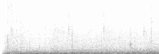 småpræriejerpe - ML561292381