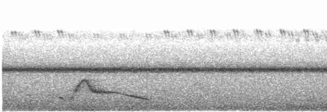 Pauraquenachtschwalbe - ML561301071