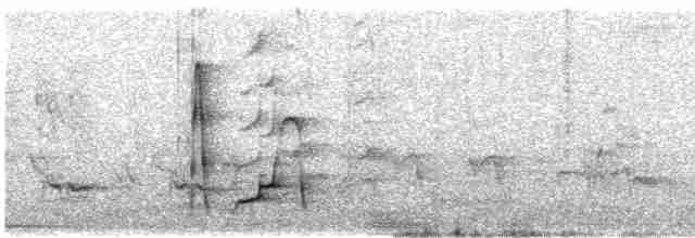 Морщинистоклювая ани - ML561301821