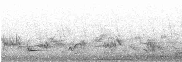 holub bledočelý - ML561302451