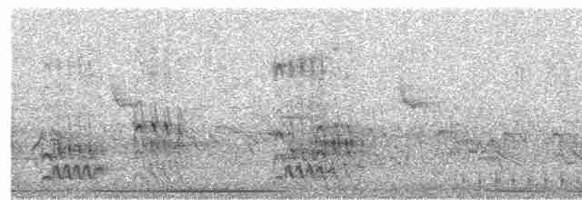 holub bledočelý - ML561302471