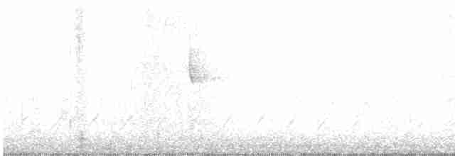 Paruline à capuchon - ML561304101