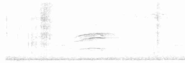 Münzevi Bülbül Ardıcı - ML561310331
