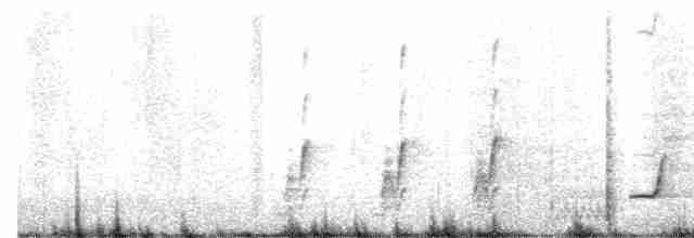 Серогрудый питуи - ML561311271
