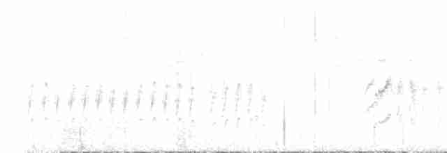 Chacobuschläufer - ML561319151