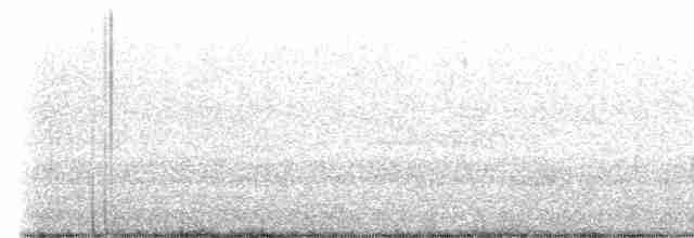 White-eyed Vireo - ML561319951