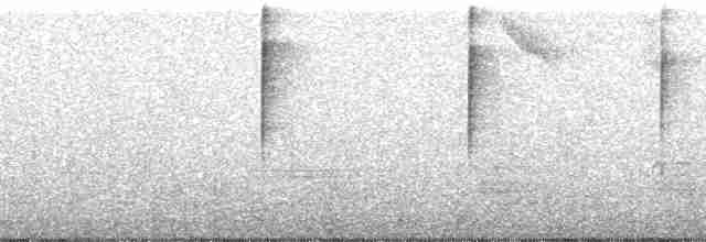 Arrowhead Warbler - ML56132