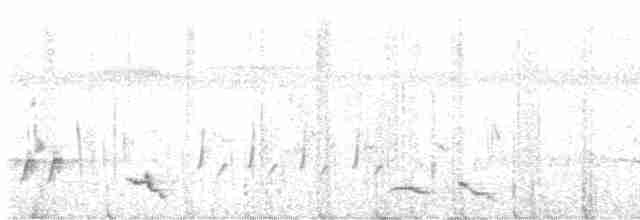 Медовка смугаста - ML561321211