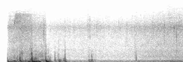 Yellow-throated Warbler - ML561327651