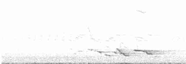 זהבן מחלל - ML561336531