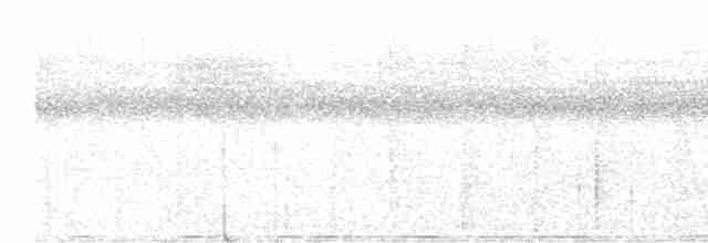 holub goliáš - ML561340151