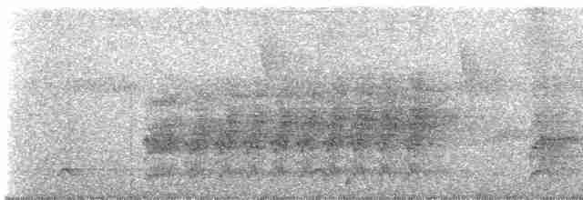 Dunkelbaumspäher - ML561392401