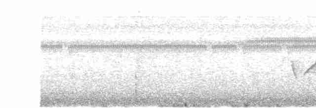 Common Yellowthroat - ML561440001