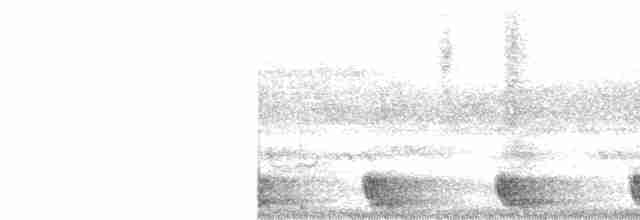 Large-tailed Nightjar - ML561533251
