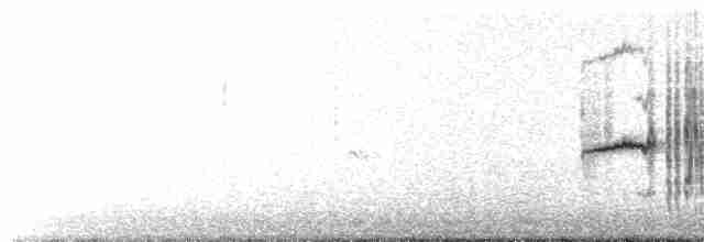 Кропив’янка прованська - ML561654201