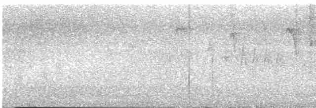 Тихоокеанский крапивник - ML561662281