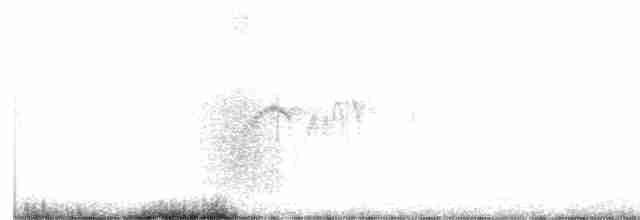 Светлобрюхий фиби - ML561726351