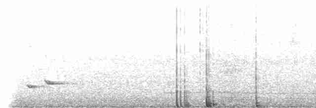 Трупіал плямистоволий - ML561761381