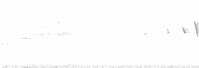 lesňáček čepičatý (ssp. chryseola) - ML561838651