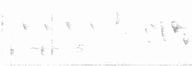 Nashville Warbler (ridgwayi) - ML561838741