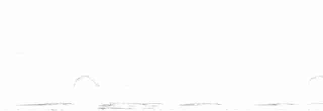 White-crested Elaenia - ML561864421