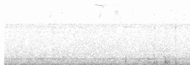 Ticotico de Anteojos - ML561881401