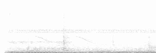 Snowy Egret - ML561894331