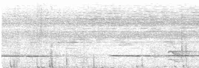 Barred Tinamou - ML561910891