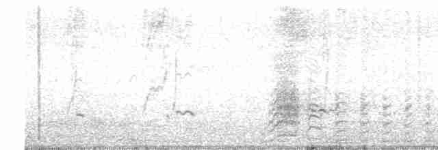 Желтоклювый чирок - ML561924291