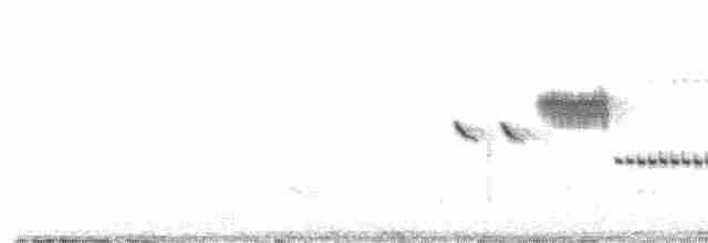 Чернозобая овсянка - ML561942011