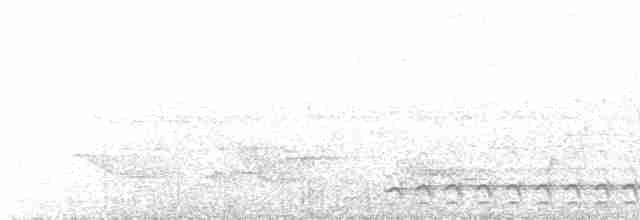 Black-crowned Antshrike - ML561946101