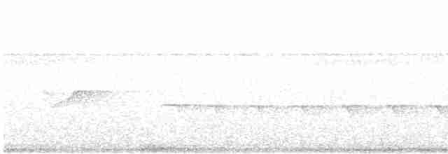 White-crowned Manakin - ML561966011