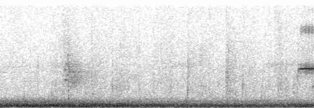 Gri Sırtlı Bülbül Ardıcı (hellmayri) - ML56198