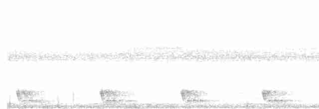 Large-tailed Nightjar - ML562078471