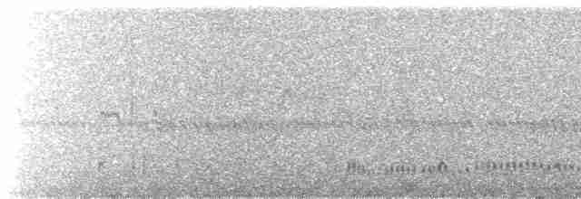 kulík černoprsý - ML562101831