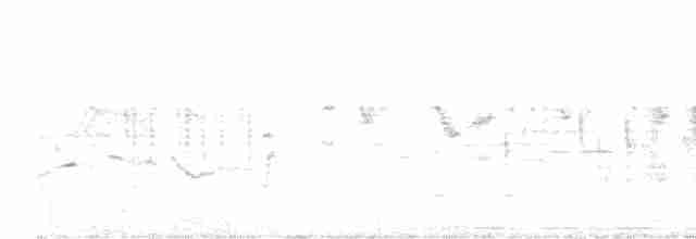 Рыжебрюхий короткокрыл - ML562103921