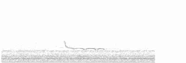 Common Redshank - ML562107391