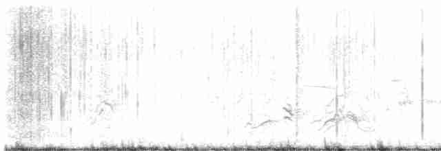 Тремблер прямодзьобий - ML562115031