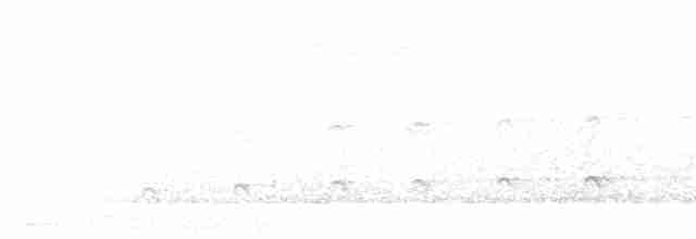 Орел-карлик малий - ML562118891