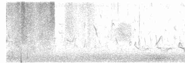 Western Orphean Warbler - ML562145741