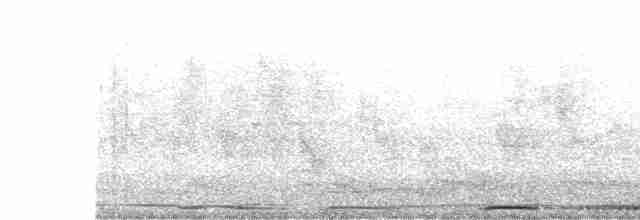hrdlička kropenatá - ML562159491