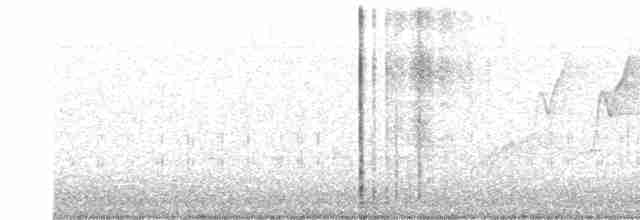 Reinita Protonotaria - ML562179101