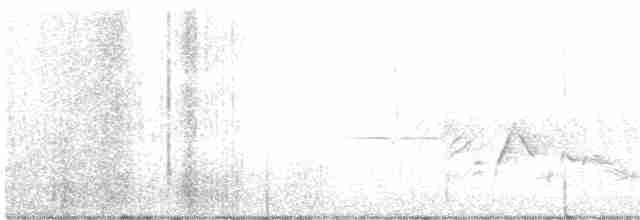 White-eyed Vireo - ML562213881