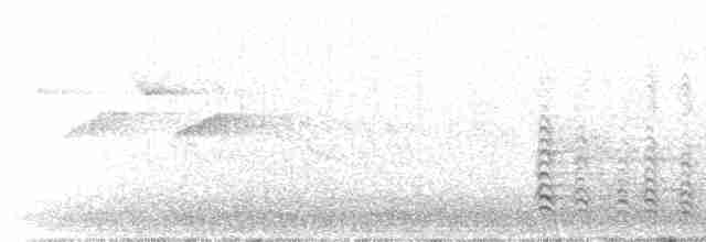 Мартин чорнокрилий (підвид graellsii) - ML562292981