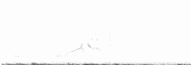White-eyed Vireo - ML562301121