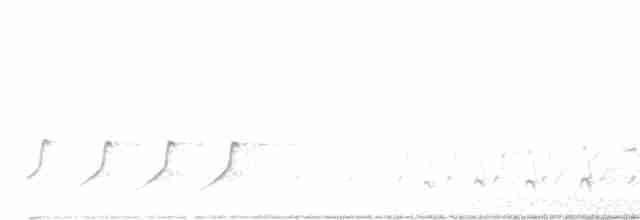 Белобровая овсянка (leucophrys/oriantha) - ML562359931