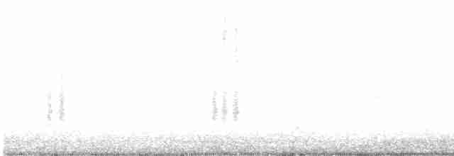 Kaktusspottdrossel - ML562361251