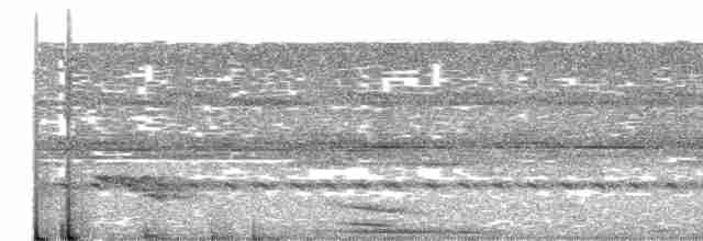 holub šedohlavý - ML562364921