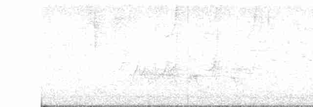 Дрізд-короткодзьоб Cвенсона - ML562391691