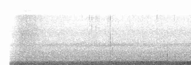 Gray Catbird - ML562402961